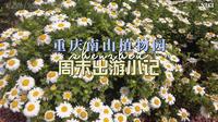 重庆植物园一日游
