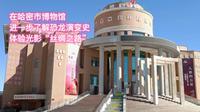 在哈密市博物馆进一步了解恐龙进化史，体验光影“丝绸之路”