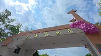 【4K|旅行日记|南宁篇#3】南宁动物园