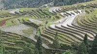 从江加榜梯田