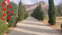 天地之中八处十一景启母石，相传是大禹治水时，其妻为帮助其治水变化成的石头，也就是启的母亲涂山氏，夏朝的第一位君主，后期随着经济的发展迁都二里头遗址