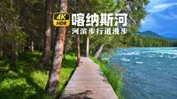 新疆阿勒泰喀纳斯河 4K HDR - 在中国最美的河滨步行道漫步