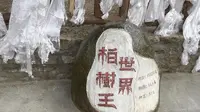 世界柏树王，林芝市区闲逛，林芝自然博物馆关门