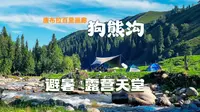 新疆伊犁唐布拉百里画廊，探秘狗熊沟，免费避暑露营的宝藏山沟