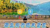 【航拍西安】灞桥区——鲸鱼沟竹海风景区