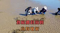 在被誉为“亚洲最大金沙滩、中国第一赶海园”的刘家湾体验赶海