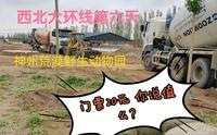 哈妮漫游记～西北大环线第六天～神州荒漠野生动物园～门票20元 你说值么？