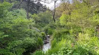 5.1—潍坊沂山风景区