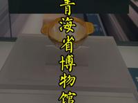 一条视频解锁青海省博物馆看什么#青海省#青海省博物馆#博物馆#文物#珍珠导游#青海省旅游攻略