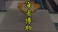 一条视频解锁青海省博物馆看什么#青海省#青海省博物馆#博物馆#文物#珍珠导游#青海省旅游攻略