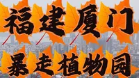 福建厦门｜暴走植物园，热带雨林＋仙人掌，人也太多了