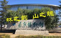 吉林省自然博物馆，林之韵，山之魂