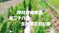 寻找郑州周末 第二十八集 郑州东风渠生态文化公园