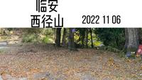 浙江省杭州市临安西径山，爬山好去处，有千年的古树和古道