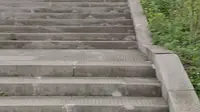 云顶茶乡