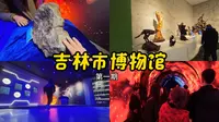 来吉林市博物馆与广西游客一起撸陨石