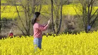 你问菜花几时开，菜花问你几时来？黔西柳岸水乡，油菜花开等你来！#四季黔西#花海毕节#一百天的春季一百分的美丽（来源：袁德志 二审：雷忠军 三审：王珂）