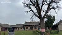 绛县南柳泰山庙