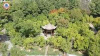 沧州《千童公园》，千童文化与自然山水园林的碰撞，正业学校出品