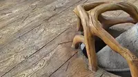 美丽江边古村落一一肇庆高要上清湾村。