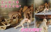 刘氏庄园博物馆，参观必看地点，勾起多少人的记忆