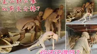 刘氏庄园博物馆，参观必看地点，勾起多少人的记忆
