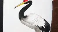 【大禹公园】最新视频上线，求关注！