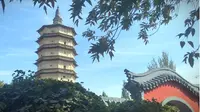 来到万部华严经塔，一个很多本地人和外地游客都不知道的呼和浩特宝藏小众景点，中国辽代宝塔，契丹之光。人少景美好去处。