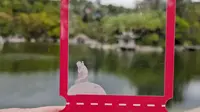 百花厅，厦门植物园。