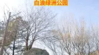 位于潍坊白浪河畔的白浪绿洲湿地公园，闲暇之余锻炼身体的好去处