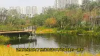 新疆天鹅河景区：库尔勒的隐藏瑰宝，等你来发掘！