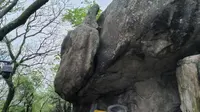 普陀山二龟听法石：梅岑山