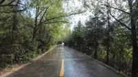【4K】漫步贵清山