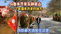 新疆米东神泉山下八公里长的酒窖，现场体验蒸馏酒香，纯高粱酿造