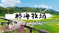 在万宁桥海牧场，听一场关于春天的田园牧歌