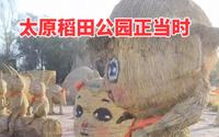 太原稻田公园