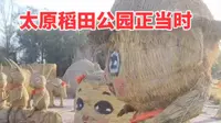 太原稻田公园