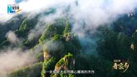 《300秒看家乡》湖南省张家界市武陵源区：仙境张家界 胜地武陵源