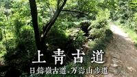 上青古道（日铸岭古道+万寿山步道）| vlog 五十五合目（6.21）