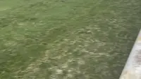 绵阳铁牛广场-20250623