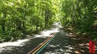 承德隆化县茅荆坝3A级国家森林公园，春天森林防火，正巧第一天开园