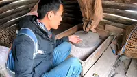 云南怒江秘境峡谷 雾里村 水力青稞磨坊 藏传佛教的民族