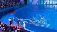 端午去青岛海昌极地海洋公园的记录