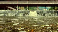 大明山宣传片！广西南宁市大明山山水 汉江欢乐谷 By gopro10