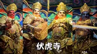 四川峨眉山伏虎寺五百罗汉堂里面的佛像我愿称之为全国最美的镀金佛像，没有之一