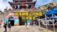 威海西霞口神雕山野生动物园10大看点，去之前先看看，不要错过了