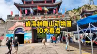 威海西霞口神雕山野生动物园10大看点，去之前先看看，不要错过了