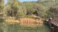 北京百望山森林公园：历史与自然交织的魅力之旅