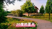 薅羊毛白嫖一个避暑的好地方，贵州毕节方家坪，20度的夏天，空气好，风景好，环境好，一切都那么适合，关键今年景区免门票哦，可以随时进去逛，太幸运了。