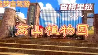 世界海拔最高的植物园，香格里拉高山植物园，这里的郁金香花开正艳！
